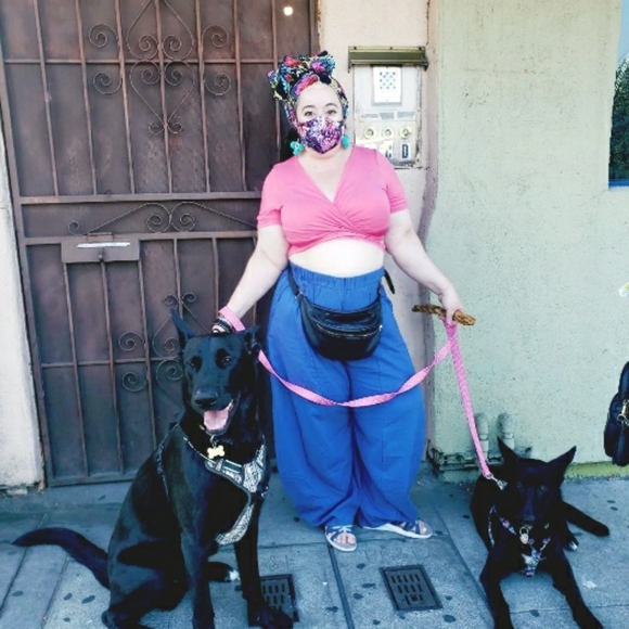 Meet your Posher, Ola - Picture 4 of 5